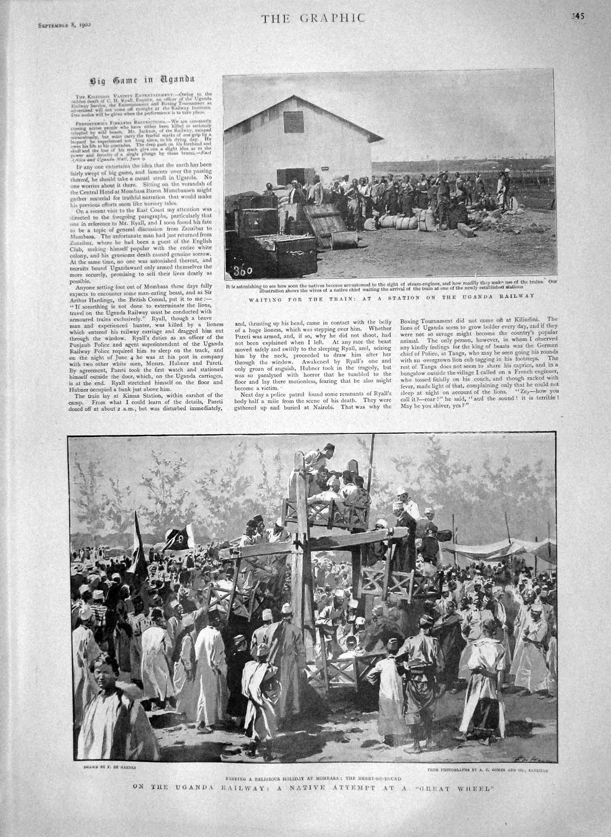 Original Old Antique Print 1900 Uganda Railway Mombasa Train Shot Lioness 20th
