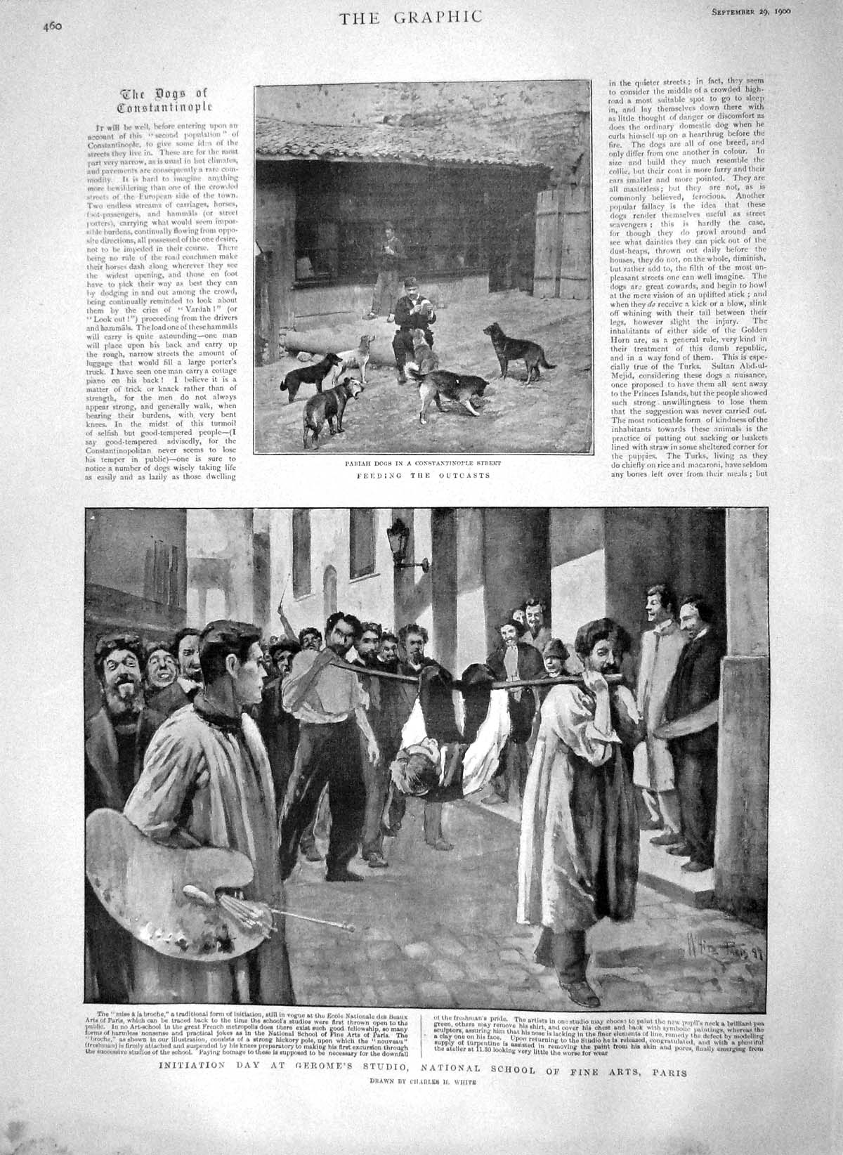Original Old Antique Print 1900 Initiation Gerome School Art Paris Pariah Dogs
