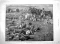 Original Old Antique Print 1900 War Siers Manoeuvres Salisbury Plain Horses