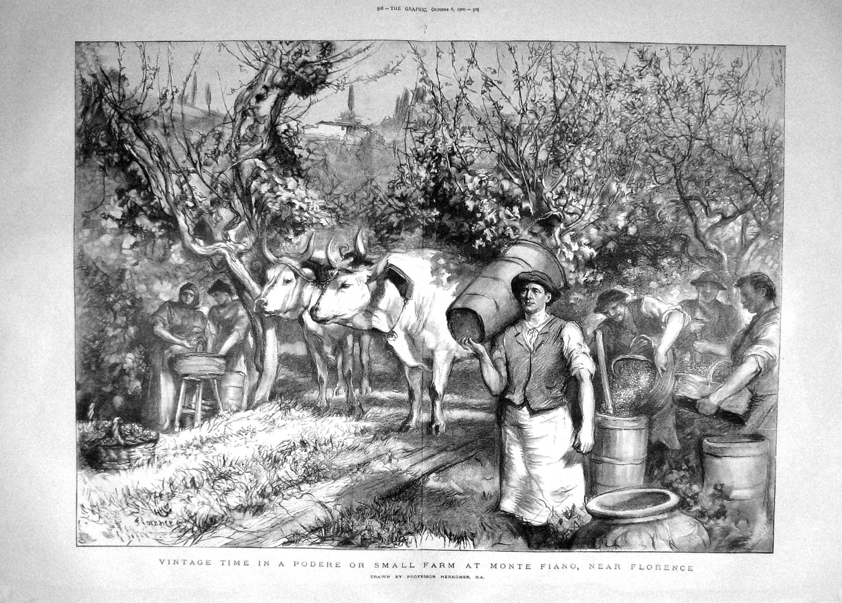 Original Old Antique Print 1900 Grapes Podere Farm Monte Fiano Florence 20th