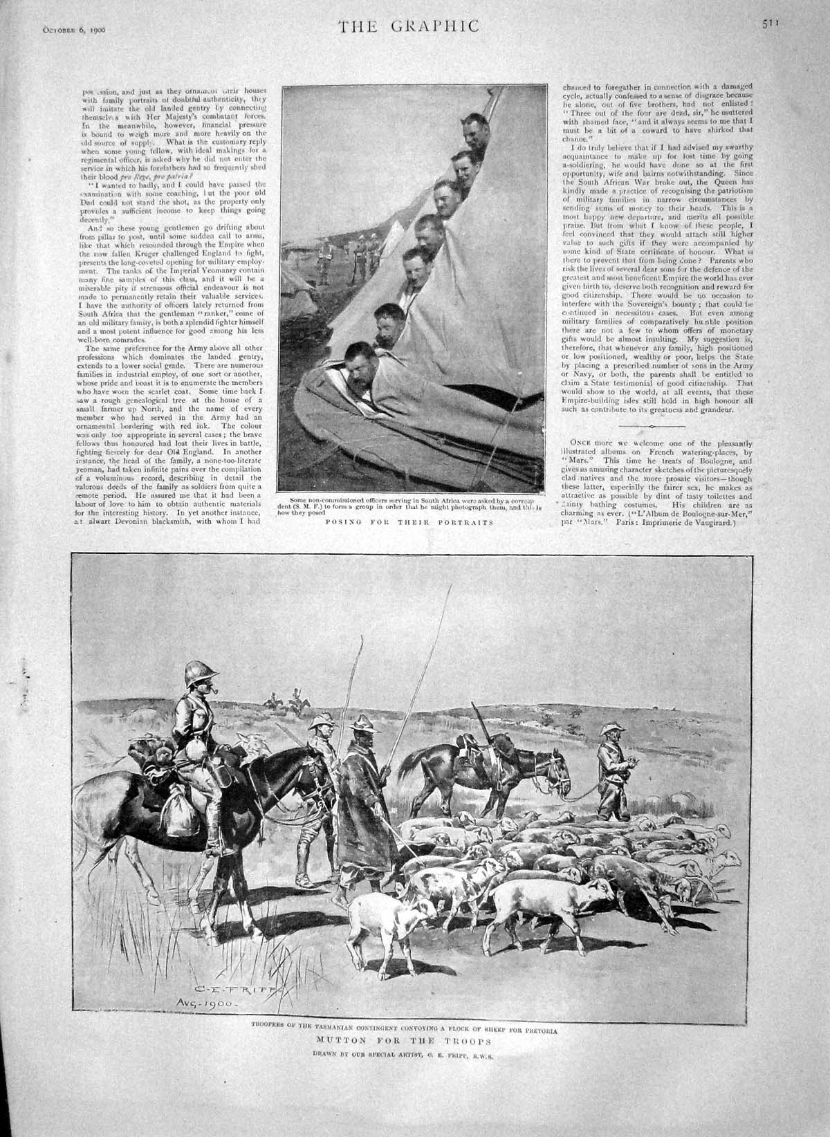 Original Old Antique Print 1900 Africa War Siers Camp Sheep Pretoria Tasmania