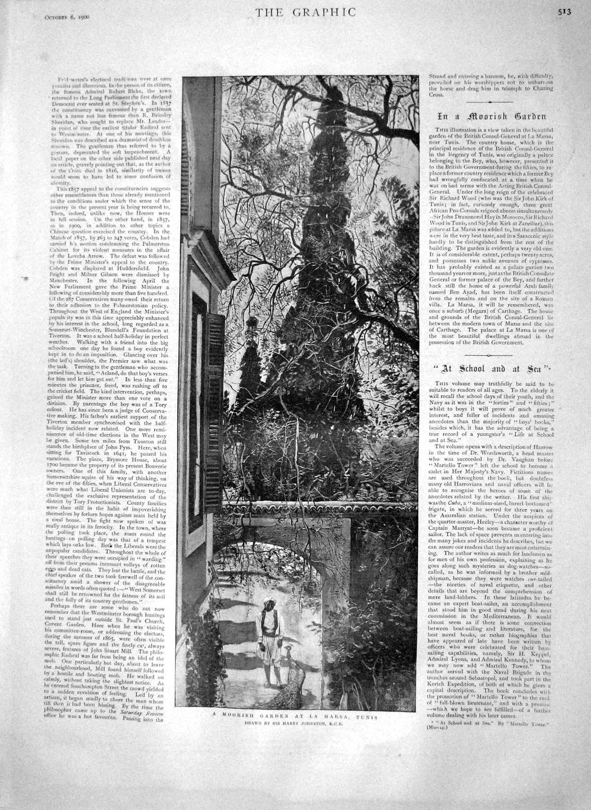 Old Antique Print 1900 View Moorish Gardens La Marsa Tunis Peacock Nature 20th