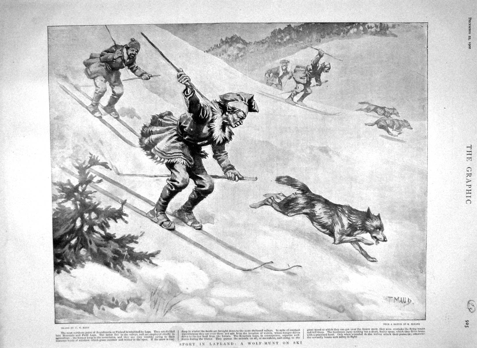 Original Old Antique Print 1900 Wolf Hunting Sport Lapland Ship Gneisenau 20th