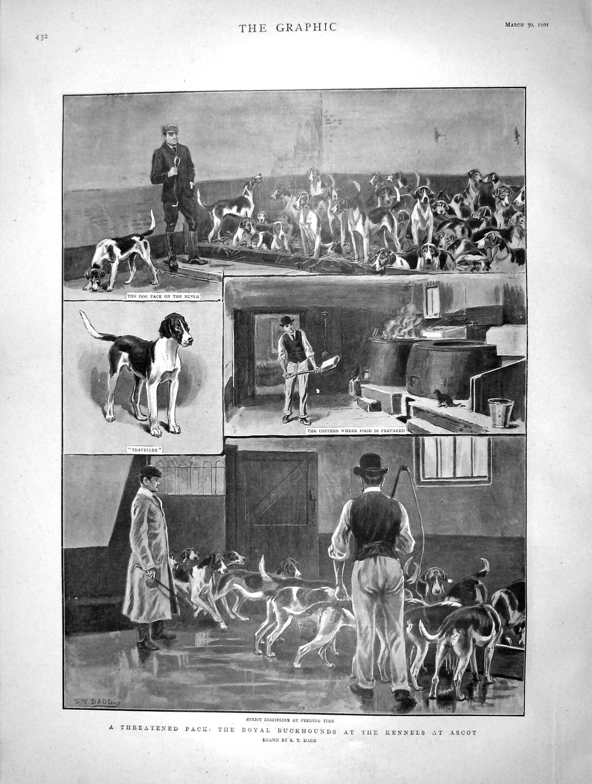 Original Old Antique Print 1901 Royal Buckhounds Dogs Kennels Ascot Orient Ship