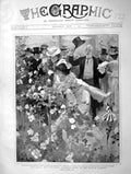 Old Antique Print 1901 Spring Show Horticultural Society Temple Gardens 20th