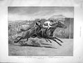 Original Old Antique Print 1901 Derby Stakes Empsom Horse William Volodyovs 20th