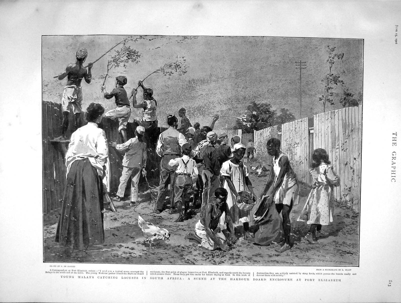 Original Old Antique Print 1901 Malays Catching Locusts Africa Port Elizabeth