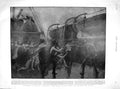 Old Antique Print 1901 Ship Wreck Lusitania Prince Eitel Friedrich Berlin 20th