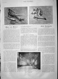 Old Antique Print 1901 Gallery Palace Westminster Major Gibb Maynf Bisley 20th