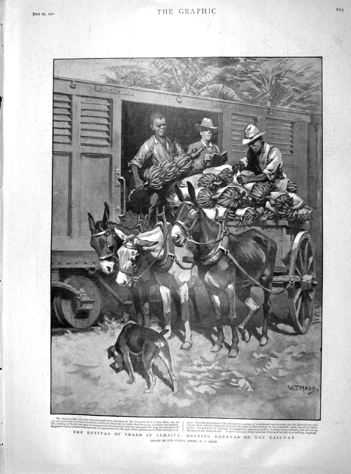 Original Old Antique Print 1901 Trade Jamaica Loading Bananas Railway Train