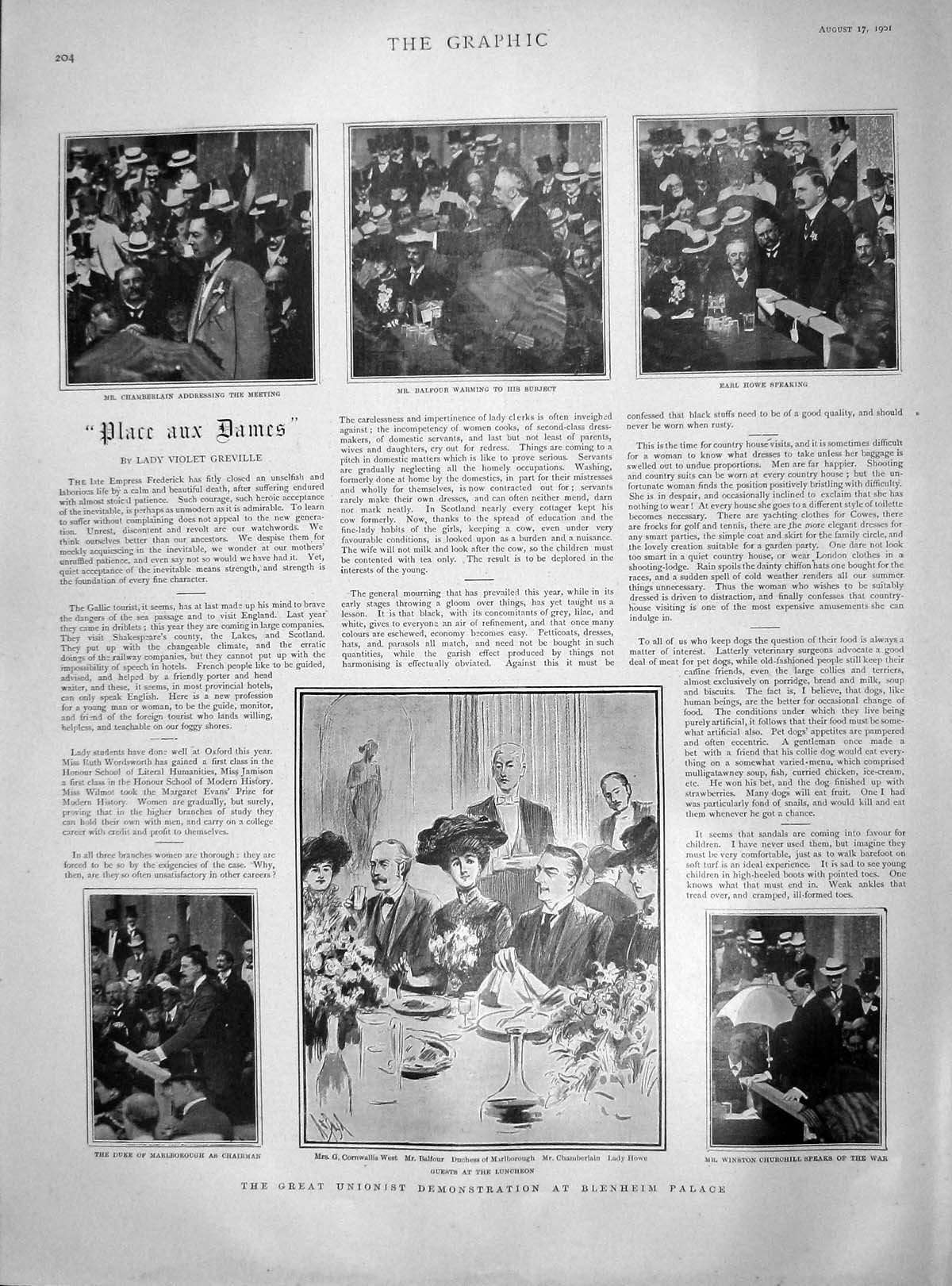 Original Old Antique Print 1901 Unionist Demonstration Belnheim Palace Balfour