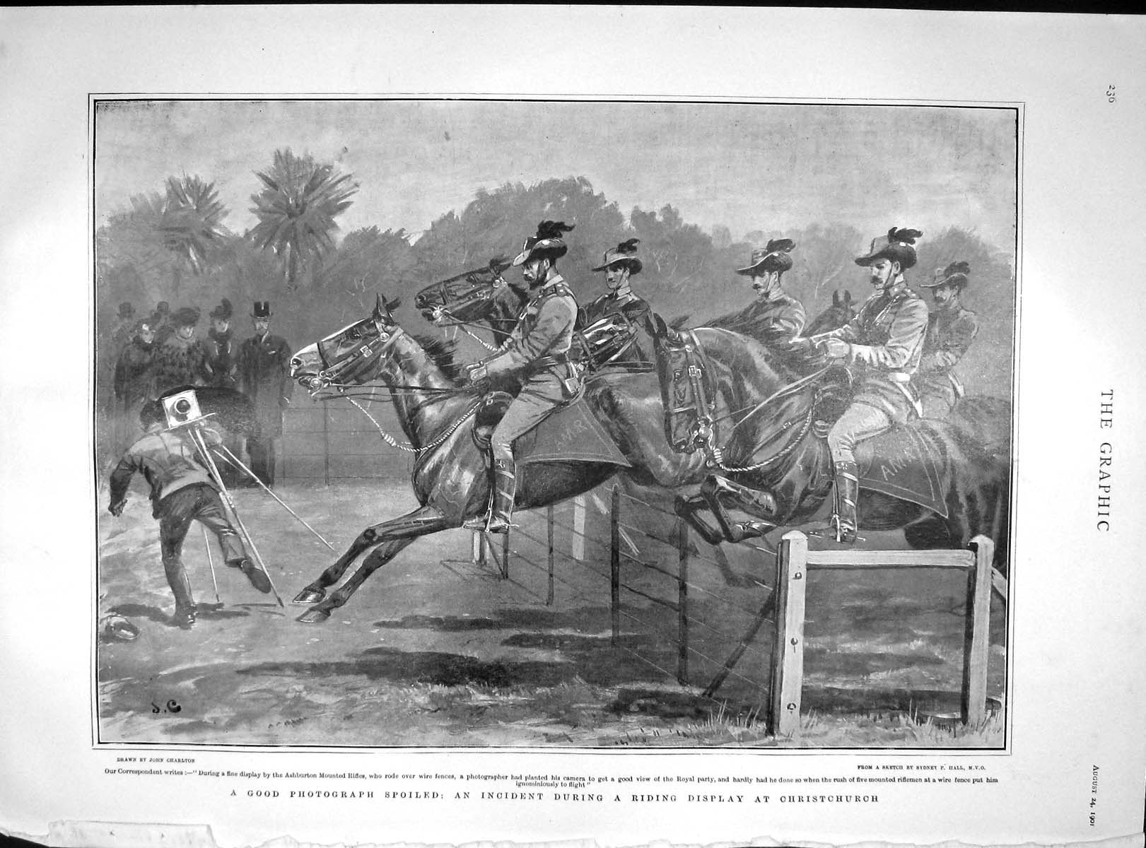 Original Old Antique Print 1901 Horses Riding Display Christchurch Ashburton