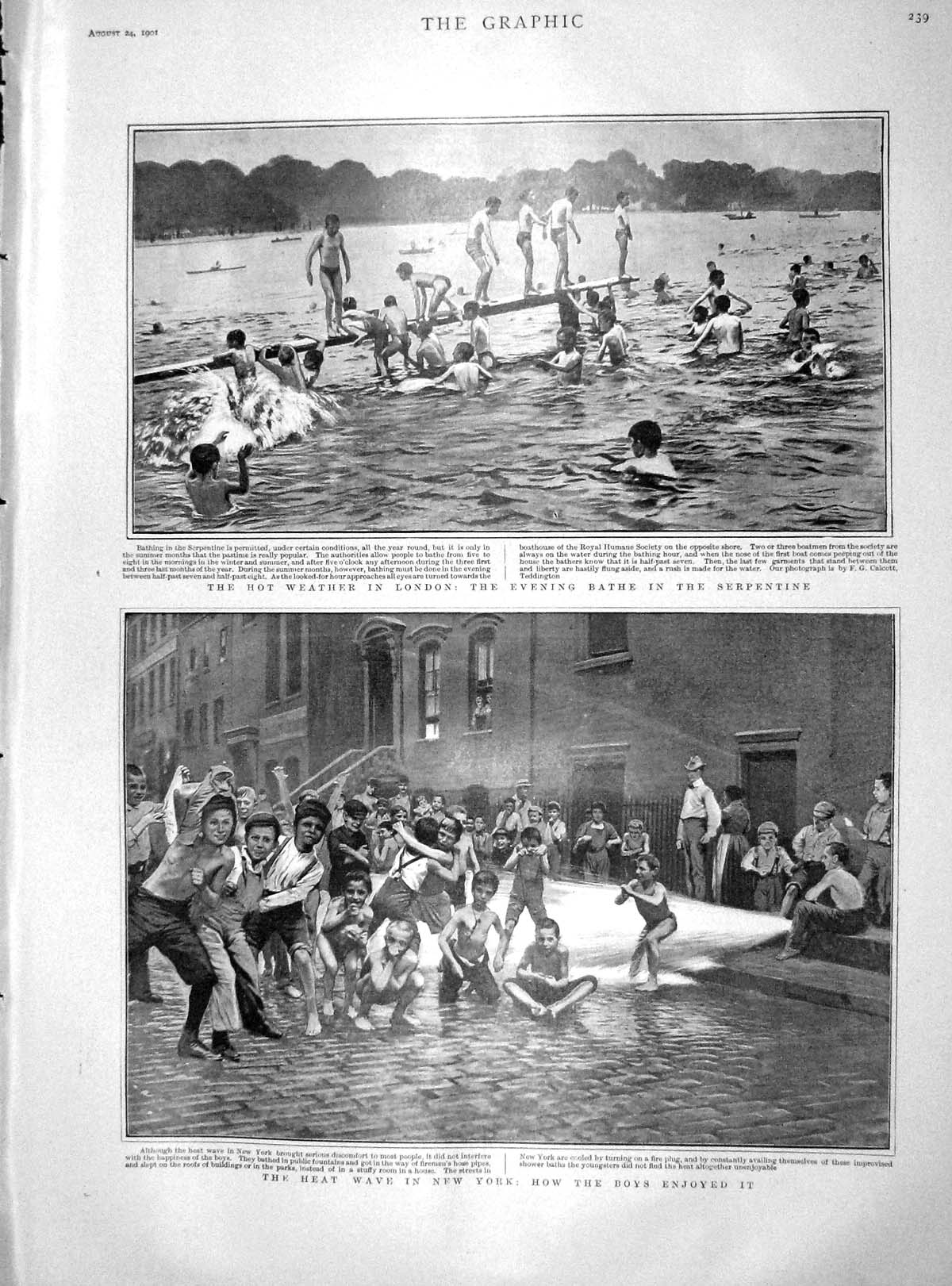 Old Antique Print 1901 Heat Wave New York Serpentine London Maori Hobart 20th