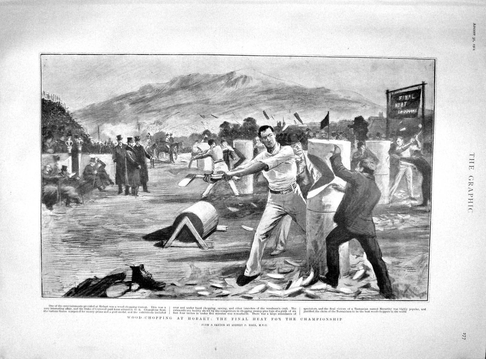 Original Old Antique Print 1901 Wood Chopping Hobart America Sport Macarthy