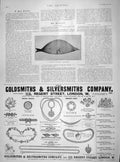 Original Old Antique Print 1901 Novel Flying Machine Airship Spencer Gsmith