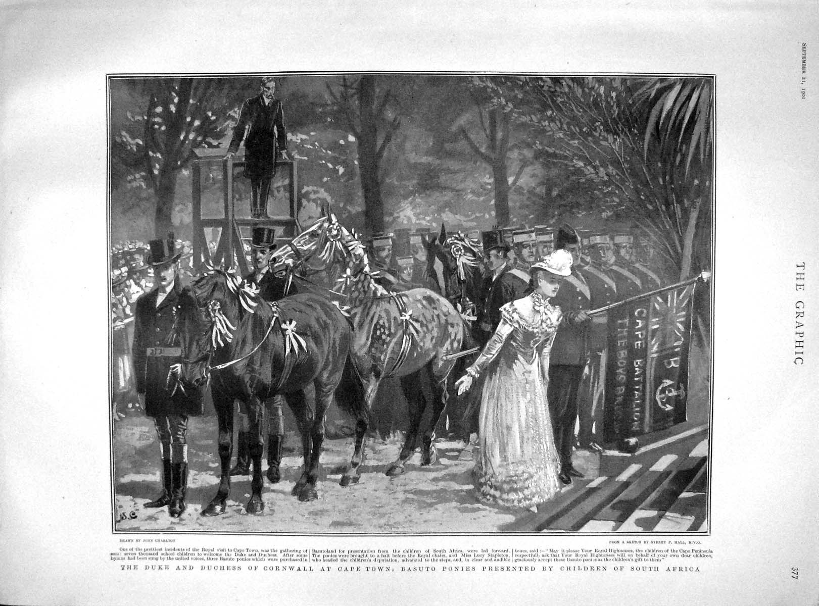 Original Old Antique Print 1901 Duke Cornwall Basuto Ponies Hofmeyr Roosevelt