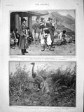 Old Antique Print 1901 Korea Yangbans Stalking Hartebeeste Africa Sport 20th