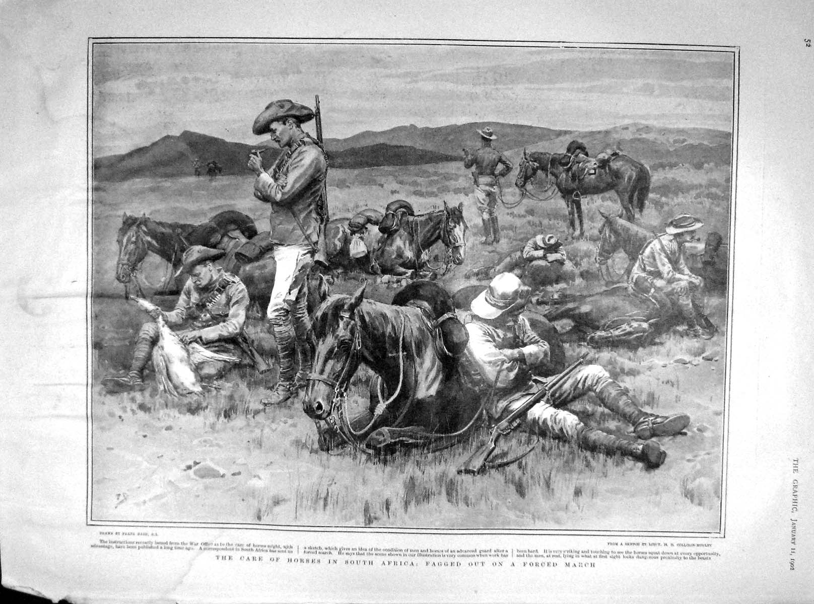 Original Old Antique Print 1902 Horses South Africa Siers War Officers 20th