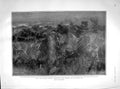 Old Antique Print 1902 Boers Breaking Through Chains Blockhouses Horses 20th