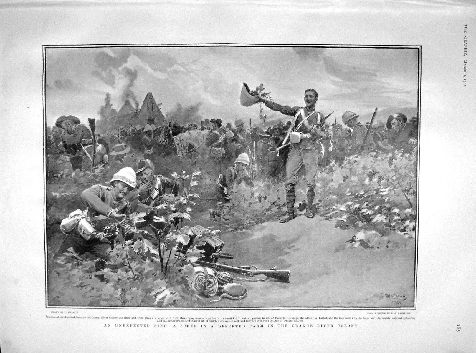 Original Old Antique Print 1902 Deserted Farm Orange River Colony Afric 20th