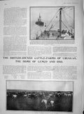 Old Antique Print 1902 Coaling War Ship Muriel Trafalgar Cattle Gauchos 20th