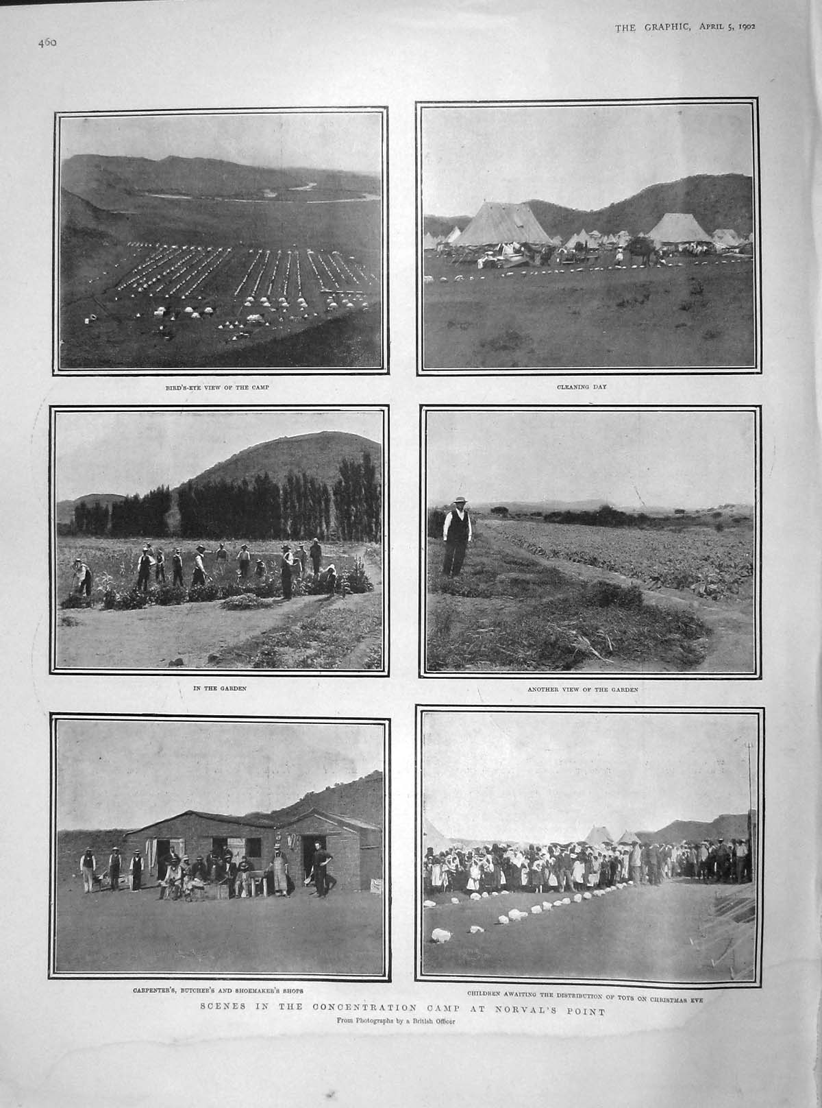 Original Old Antique Print 1902 Concentration Camp Norval'S Point Carpenter 20th