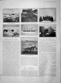 Original Old Antique Print 1902 Newfoundland Seal Fishery Ship Neptune Hunting