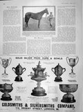 Original Old Antique Print 1902 Sceptre Derby Horse Sievier Gsmith Prize Cups