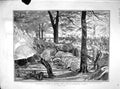 Original Old Antique Print 1902 Coronation London Kensington War Aosta Prince