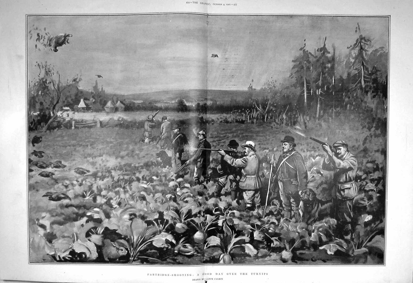 Original Old Antique Print 1902 Partridge Shooting Turnips Field Sport Hunting