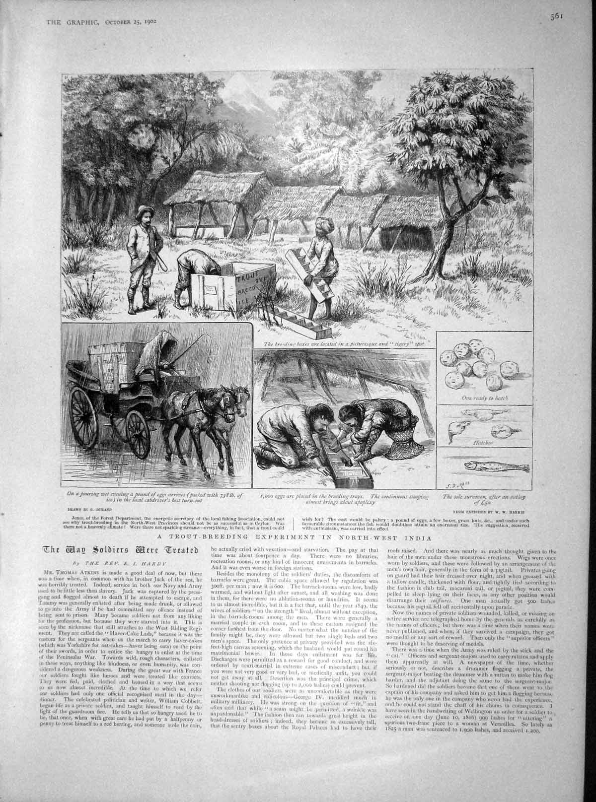 Old Antique Print 1902 Trout-Breeding Experiments India Soudan Natal King 20th