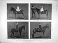 Old Antique Print 1902 Children Prince Wales Victoria Henry Edward Albert 20th