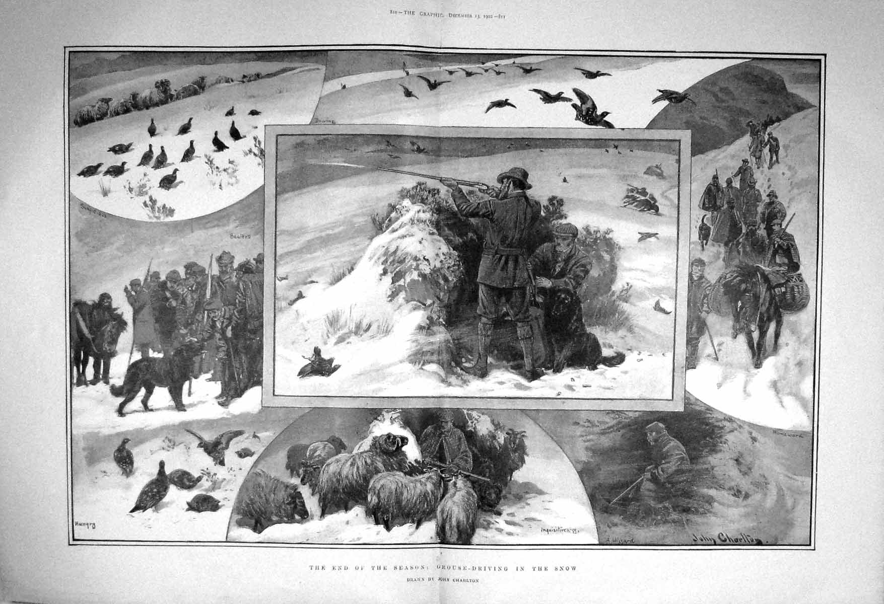 Old Antique Print 1902 Grouse Driving Snow Hunting Shooting Birds Sport 20th