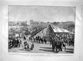 Old Antique Print 1903 Viceroy Delhi Elephants Connaught Parocchi Pasha 20th