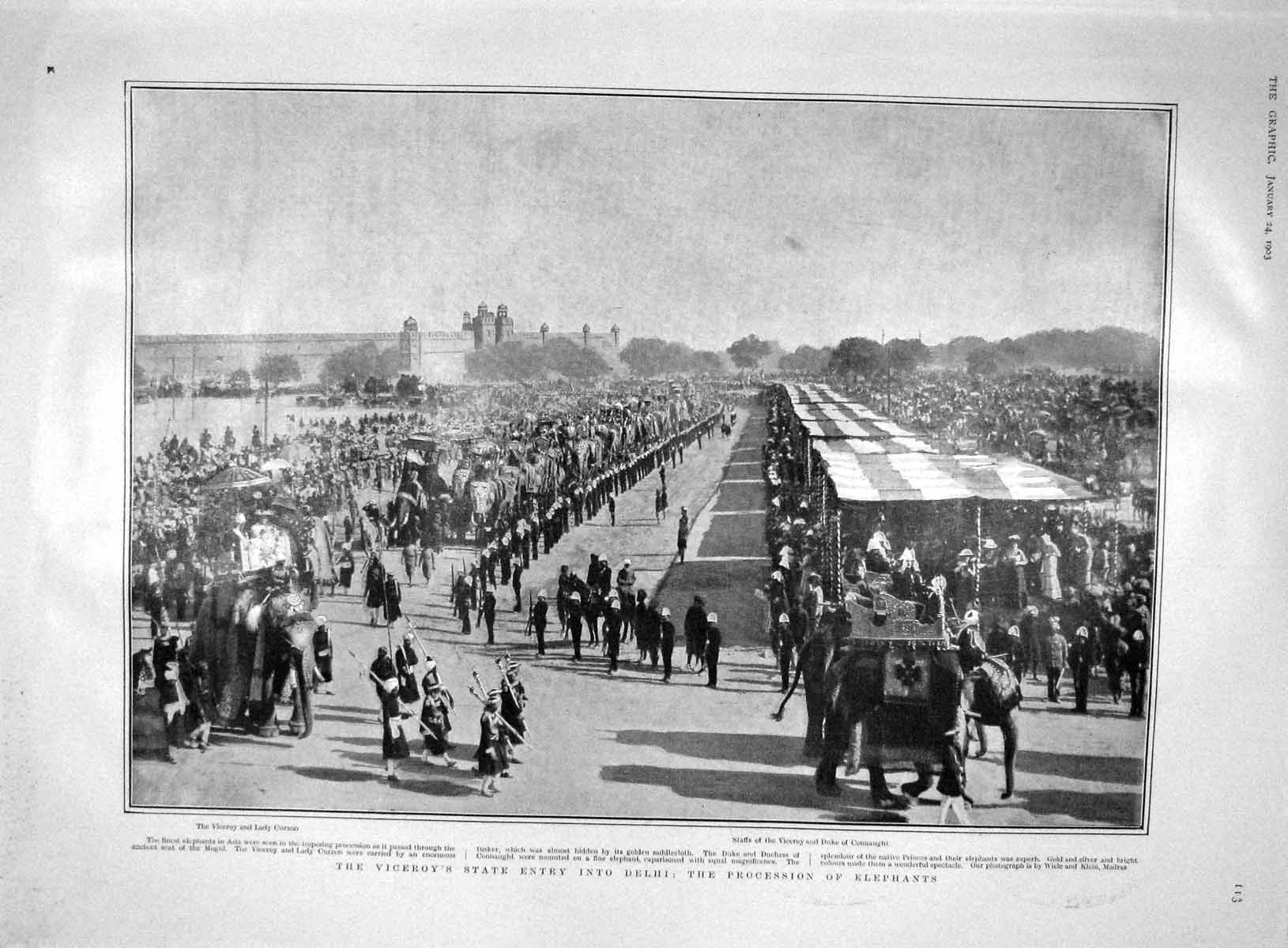 Old Antique Print 1903 Viceroy Delhi Elephants Connaught Parocchi Pasha 20th