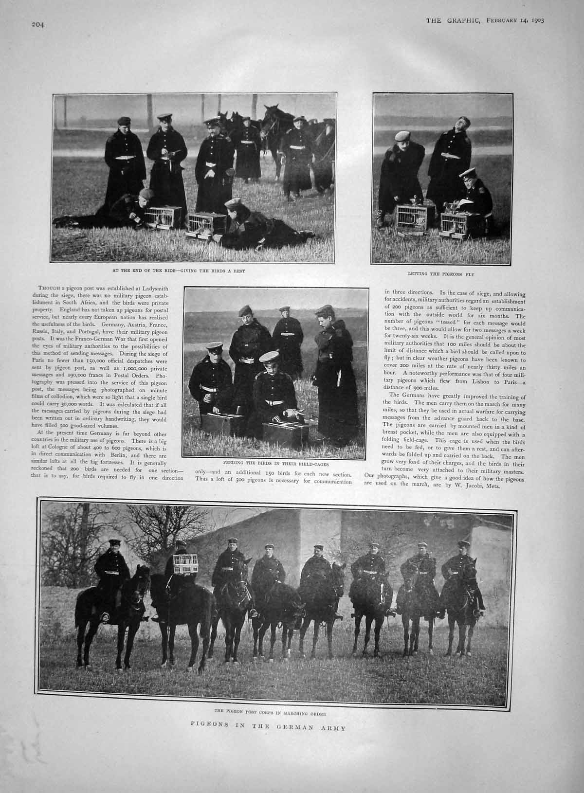 Original Old Antique Print 1903 Pigeon Post Corps German Army Birds Horses War