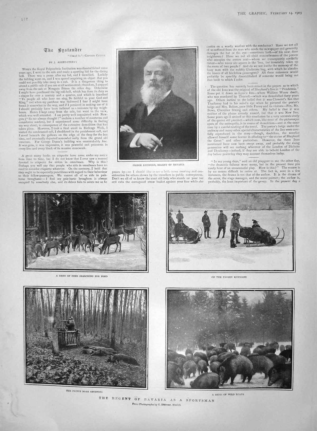 Original Old Antique Print 1903 Prince LuitpBavaria Boars Duke Norfolk Glasgow