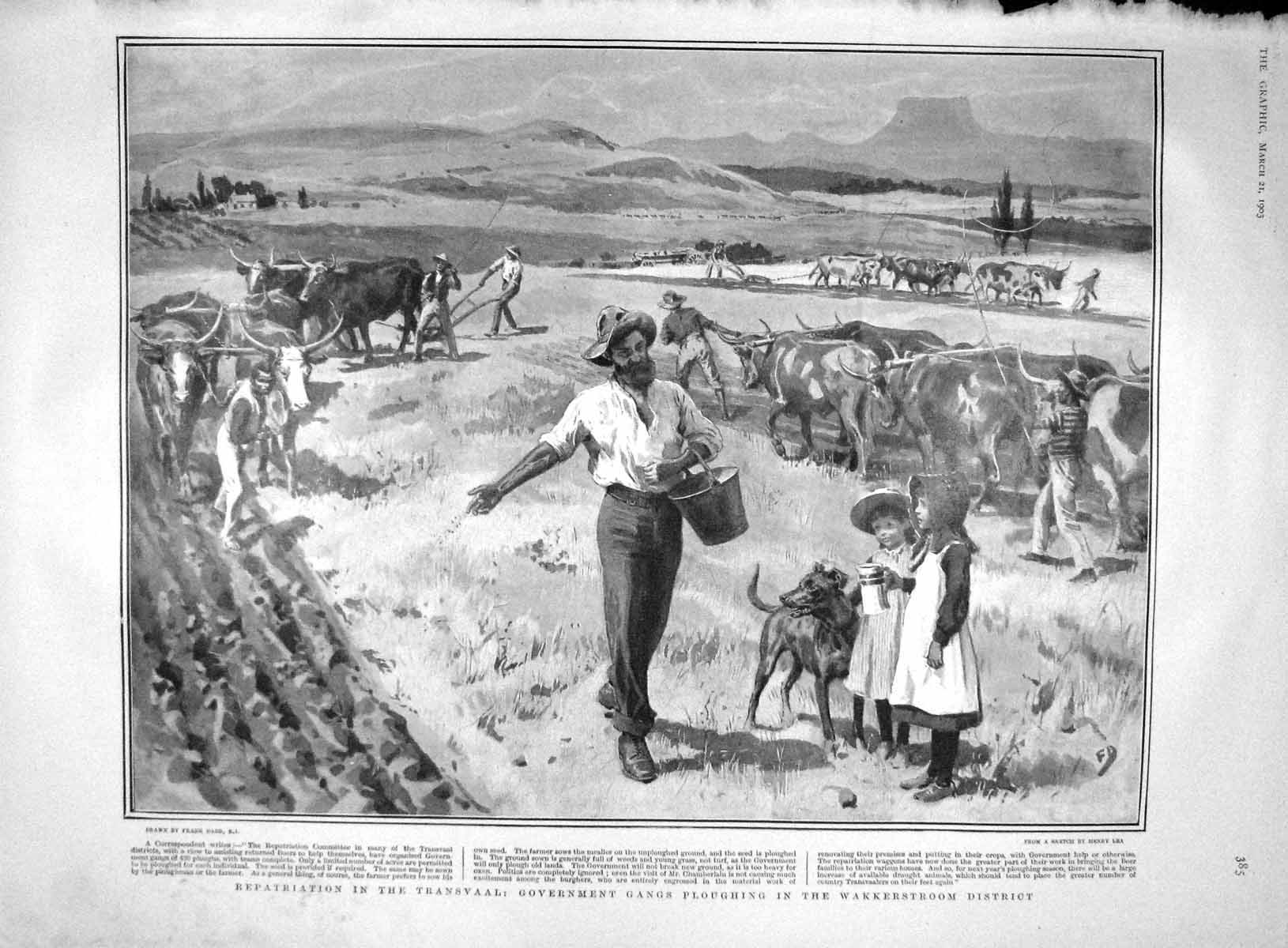 Original Old Antique Print 1903 Transvaal Ploughing Wakkerstroom Agriculture