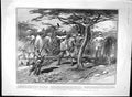 Old Antique Print 1903 Somaliland Pioneers Jungle New York Post Tricycle 20th