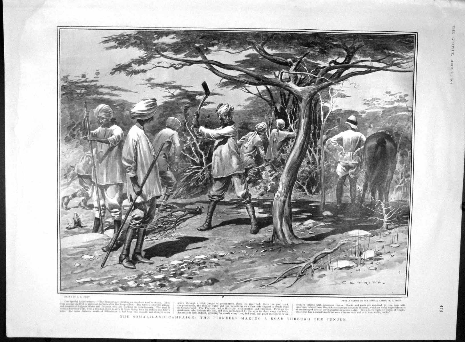 Old Antique Print 1903 Somaliland Pioneers Jungle New York Post Tricycle 20th