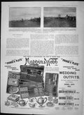 Original Old Antique Print 1903 Duke Westminster Rainbow Horse Yeomanry Mappin