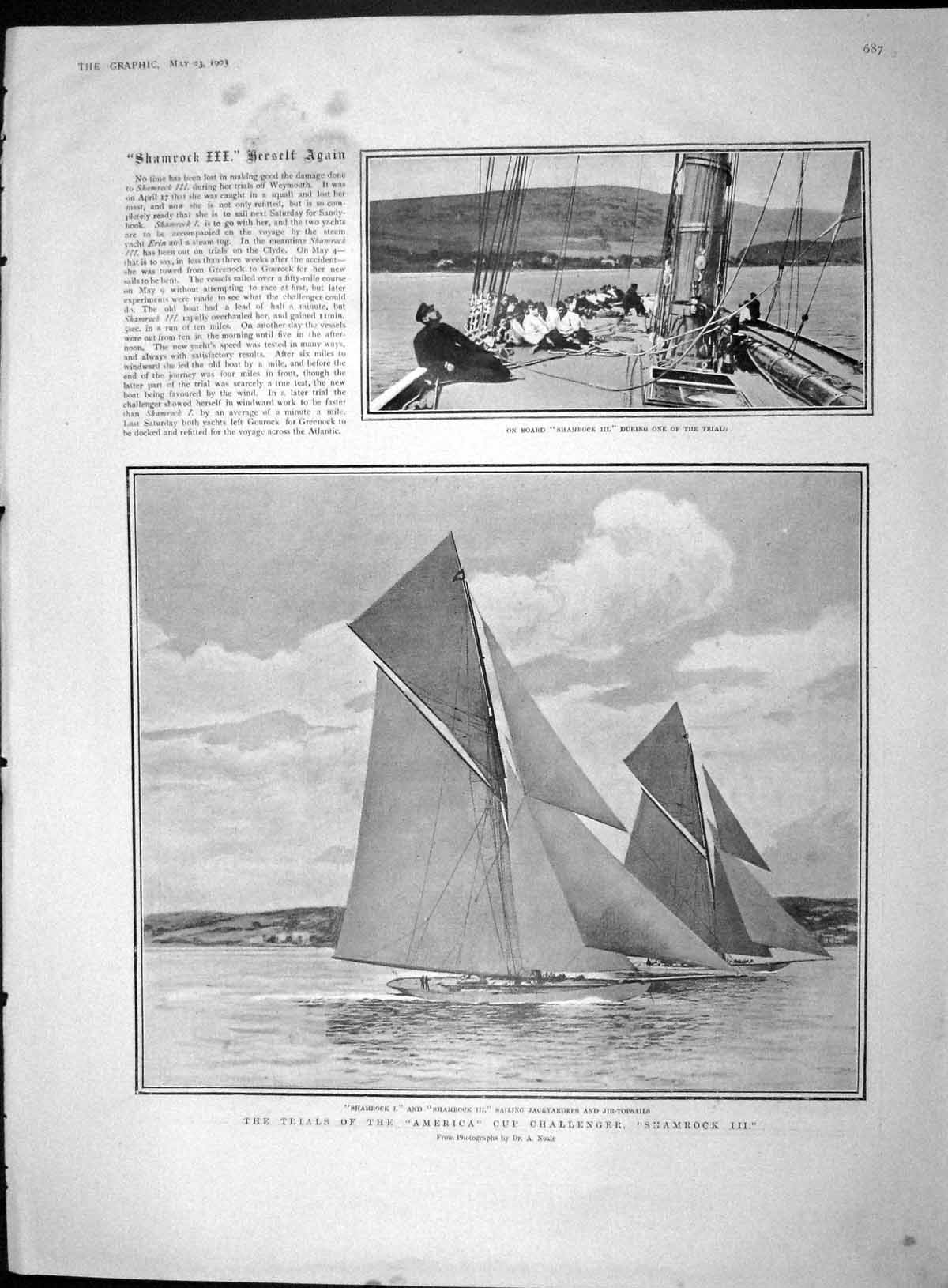Original Old Antique Print 1903 America Cup Shamrock Ladies Peacock Loudan 20th
