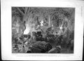 Original Old Antique Print 1903 Somaliland Siers War Paris Motor Car Renault