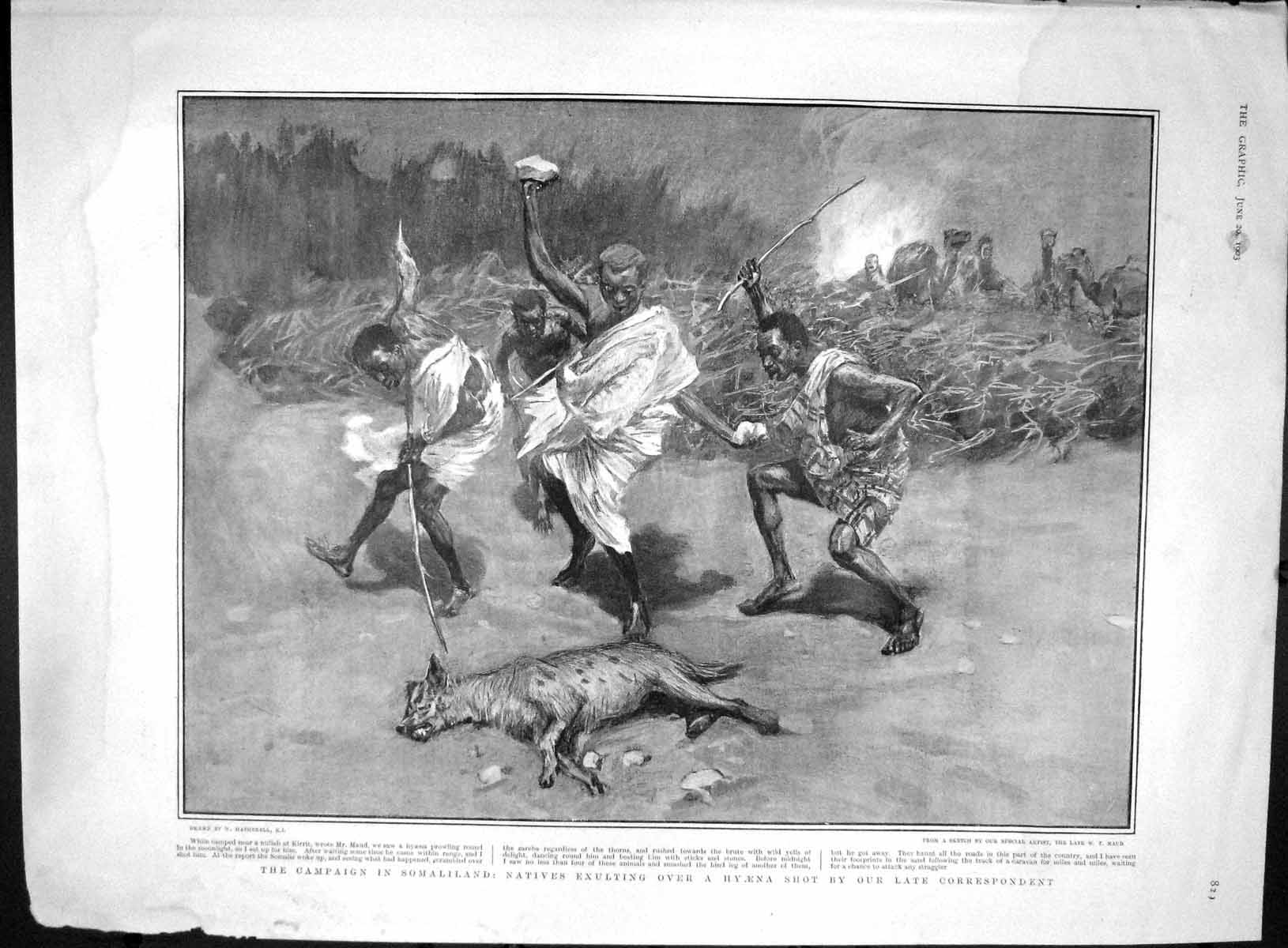 Original Old Antique Print 1903 Somaliland Exulting Hyaene King Alexander Draga