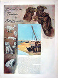 Old Antique Print 1903 Tunisia Dogs Camels Boat Mednin Tawareq Beni Barka 20th