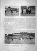 Old Antique Print 1903 Horse Racing Eclipse Stakes Sandown Darling Sport 20th