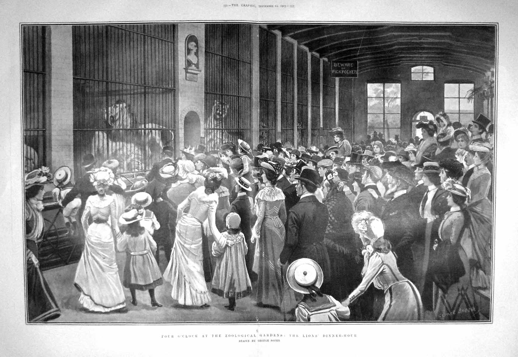 Old Antique Print 1903 Zoological Gardens Feeding Lions Dinner Fine Art 20th