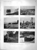 Old Antique Print 1903 Gale Wind Storm Tree Eton Dolgelly Boulogne Dover 20th