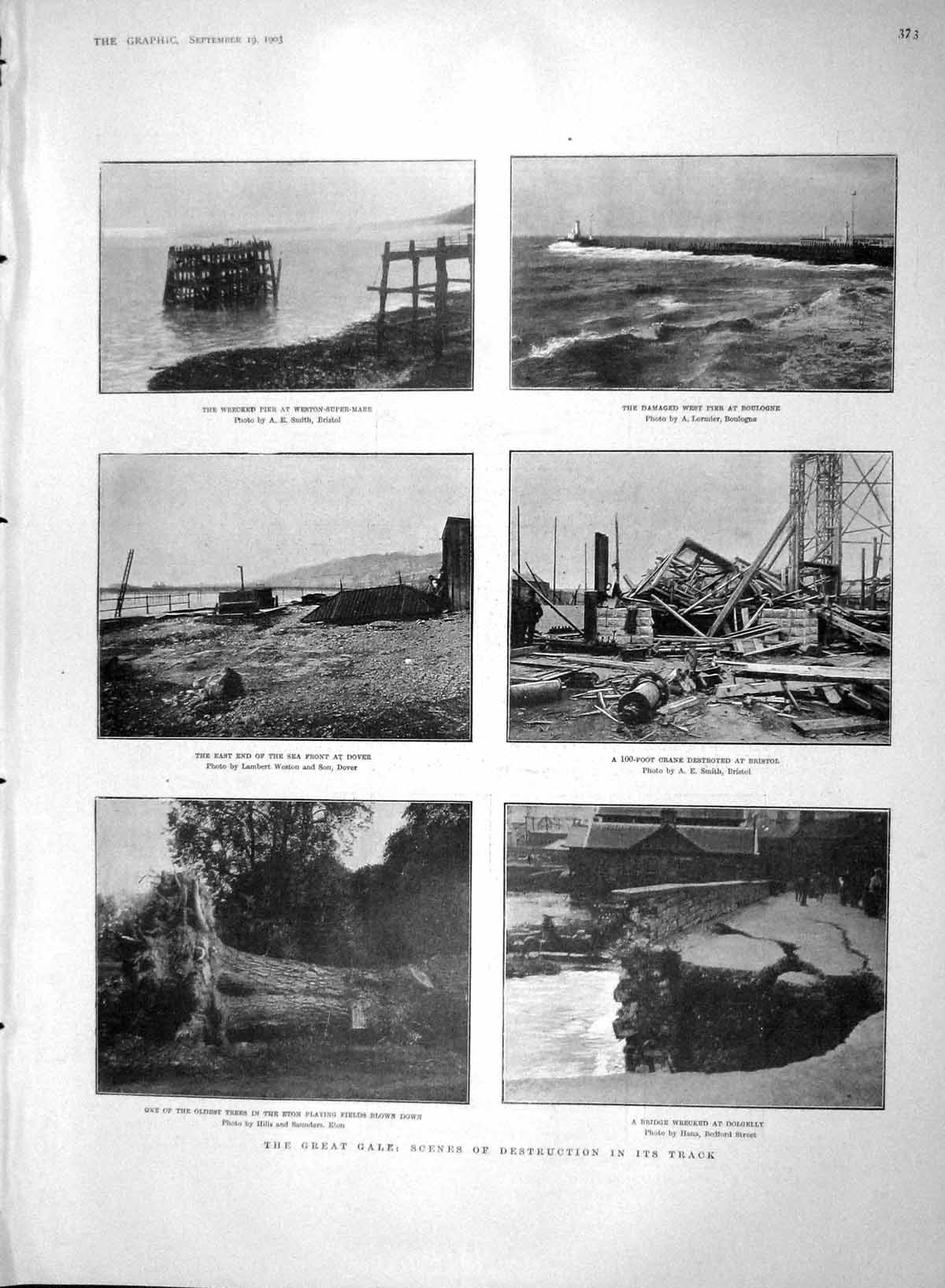 Old Antique Print 1903 Gale Wind Storm Tree Eton Dolgelly Boulogne Dover 20th