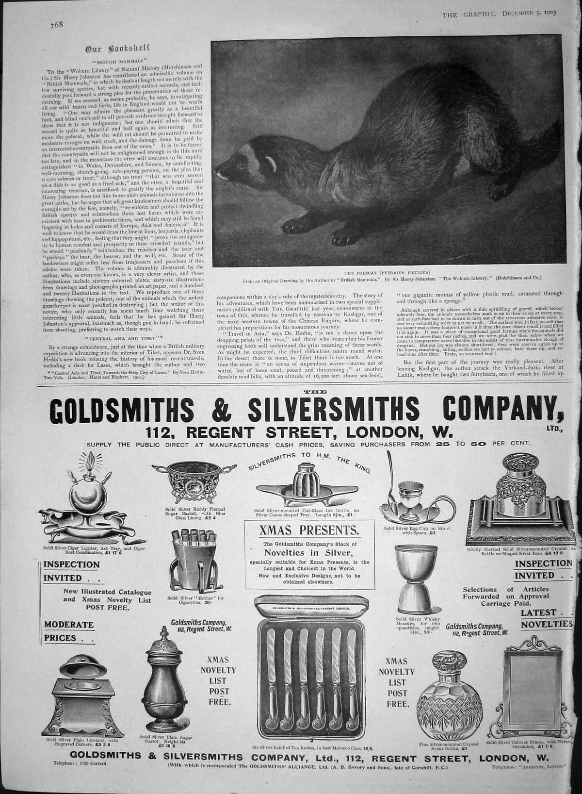 Original Old Antique Print 1903 Polecat Putorius Foetidus Gsmith Silversmith
